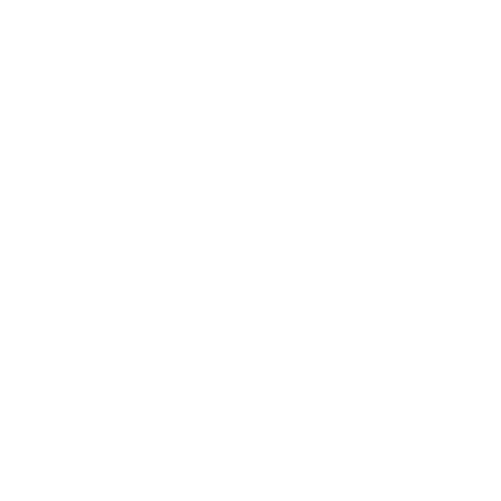 Pace icon