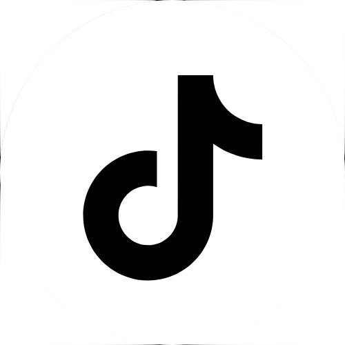 TikTok Icon